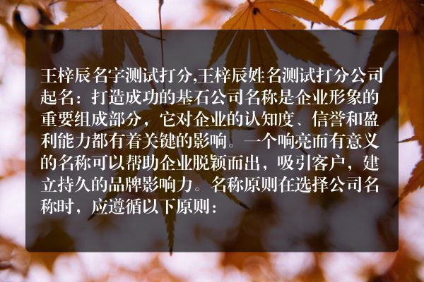 王梓辰名字测试打分,王梓辰姓名测试打分