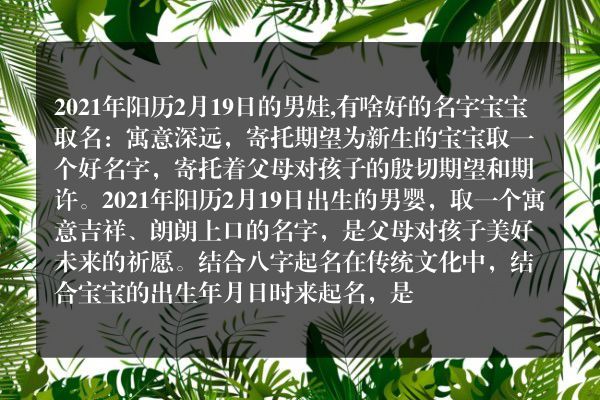 2021年阳历2月19日的男娃,有啥好的名字