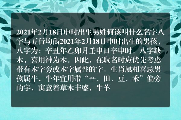 2021年2月18日申时出生男姓何该叫什么名字