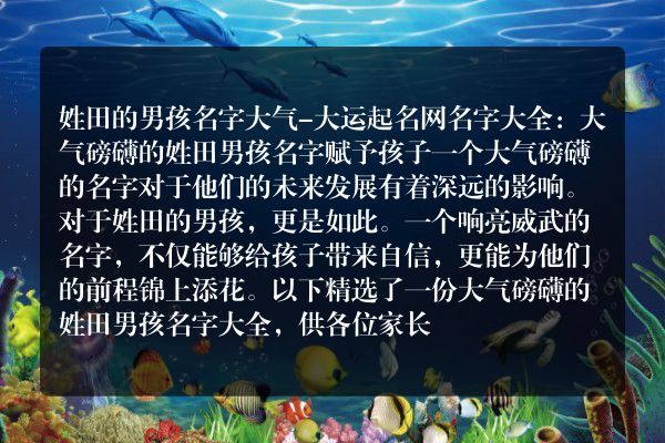 姓田的男孩名字大气-大运起名网